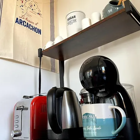 Le Logis Du Bassin - Meuble 3 Etoiles * Arcachon