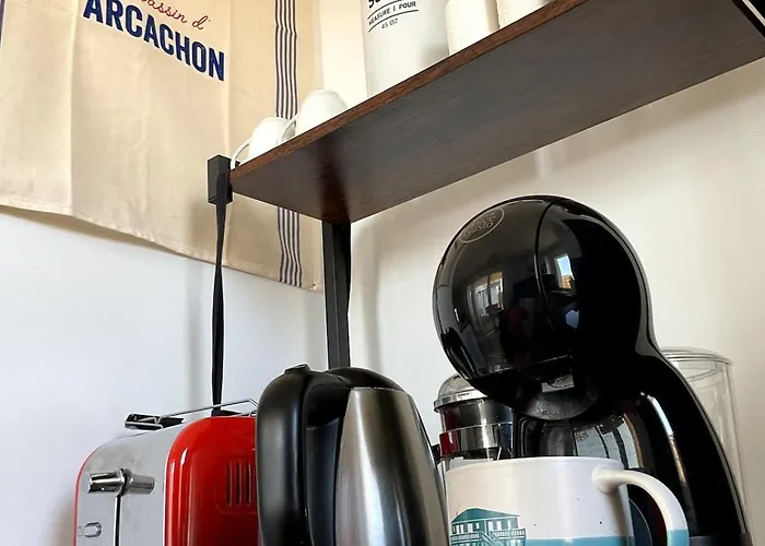 Le Logis Du Bassin - Meublé 3 étoiles * Arcachon